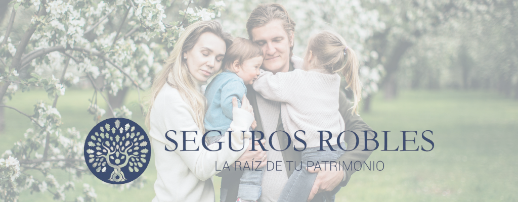 Inicio - Seguros Robles
